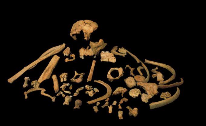 Oldest-ever human genetic evidence clarifies dispute over our ancestors Oldest ever human genetic evidence clarifies dispute over our ancestors