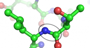 Peptide bond