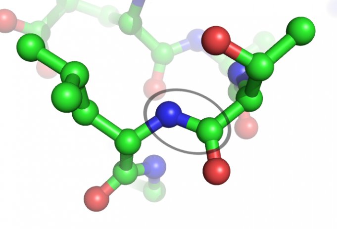 peptide-bond-definition-formation-and-ressources-science-bulletin