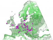 Plant diversity in European forests is declining Plant diversity in European forests is declining