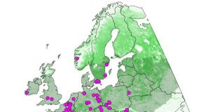 Plant diversity in European forests is declining