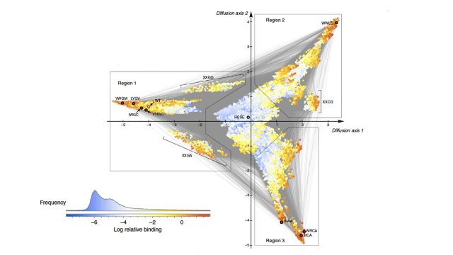 Predicting the evolution of genetic mutations