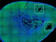 Researchers achieve remote control of hormone release using magnetic nanoparticles Researchers achieve remote control of hormone release using magnetic nanoparticles