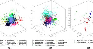 Researchers crack COVID 19 genome signature
