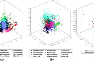 Researchers crack COVID-19 genome signature Researchers crack COVID 19 genome signature