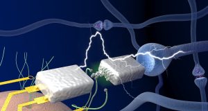 Researchers unveil electronics that mimic the human brain in efficient learning