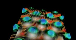 Researchers watch the dynamics of plasmonic skyrmions made from light on ultra smooth gold platelets for the first time