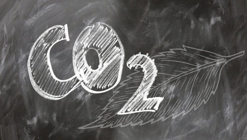 Rising CO2 causes more than a climate crisis—it may directly harm our ability to think