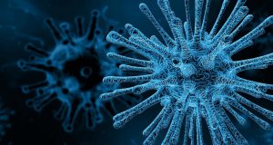 Risk of viruses emerging in humans may not depend on their animal host