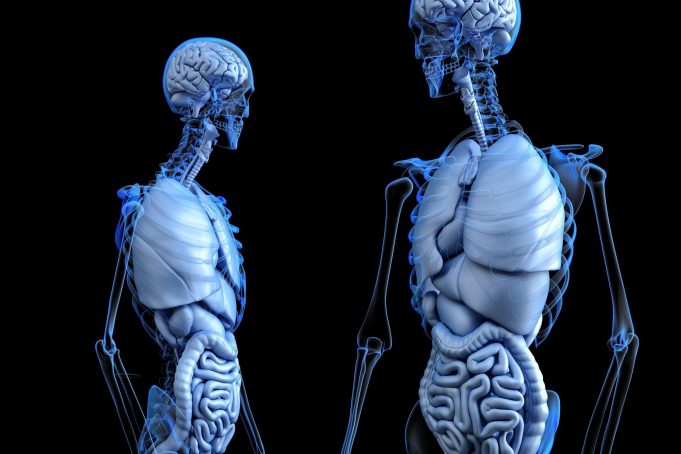 Scientists invent nanoparticle that could improve treatment for bone defects