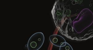 Scientists uncover principles of universal self assembly