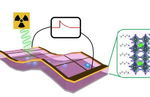 Self powered X ray detector to revolutionize imaging for medicine security and research