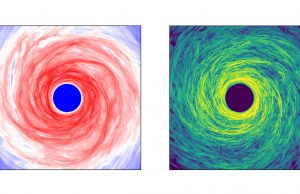 Simultaneous simulation of gravitation and magnetism of a protoplanetary disk Simultaneous simulation of gravitation and magnetism of a protoplanetary disk