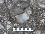 Study sheds light on unique culinary traditions of prehistoric hunter gatherers