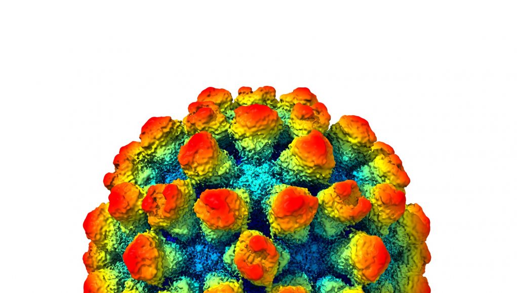 The architecture of a shape shifting norovirus