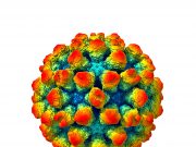 The architecture of a shape shifting norovirus