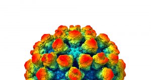 The architecture of a shape shifting norovirus