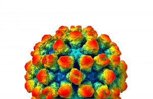 The architecture of a ‘shape-shifting’ norovirus The architecture of a shape shifting norovirus