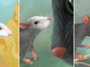 The face of a mouse reveals its emotions