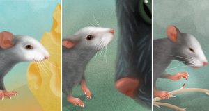 The face of a mouse reveals its emotions
