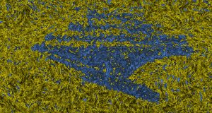 They remember Communities of microbes found to have working memory