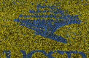 They remember: Communities of microbes found to have working memory They remember Communities of microbes found to have working memory