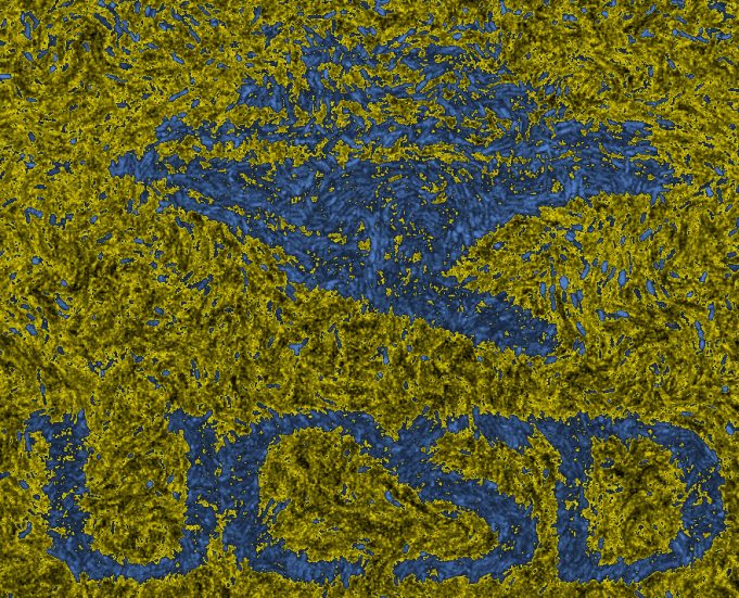 They remember Communities of microbes found to have working memory