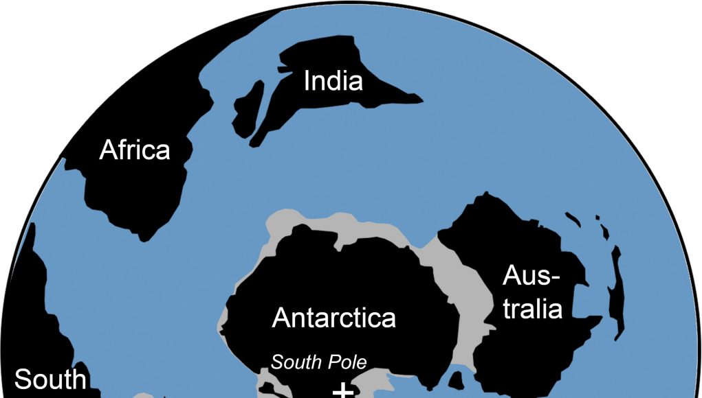 Traces of ancient rainforest in Antarctica point to a warmer prehistoric world scaled