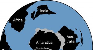 Traces of ancient rainforest in Antarctica point to a warmer prehistoric world scaled