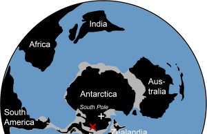 Traces of ancient rainforest in Antarctica point to a warmer prehistoric world Traces of ancient rainforest in Antarctica point to a warmer prehistoric world scaled