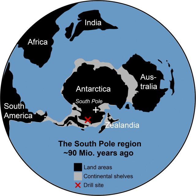 Traces of ancient rainforest in Antarctica point to a warmer prehistoric world scaled Traces of ancient rainforest in Antarctica point to a warmer prehistoric world scaled