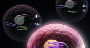 Turning cells into computers with protein logic gates