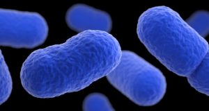 Vulnerable cells armor themselves against infection by depleting surface cholesterol