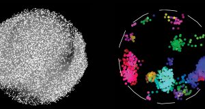 Worlds largest map of protein connections holds clues to health and disease