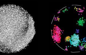World’s largest map of protein connections holds clues to health and disease Worlds largest map of protein connections holds clues to health and disease