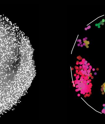Worlds largest map of protein connections holds clues to health and disease