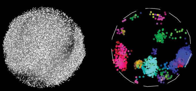 World’s largest map of protein connections holds clues to health and disease Worlds largest map of protein connections holds clues to health and disease