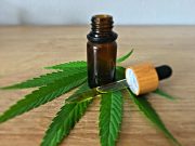 cbd infos tCZVzr9TvxQ unsplash scaled