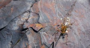 Ancient rocks show high oxygen levels on Earth two billion years ago