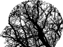 Applying physics to understanding the mystery of consciousness