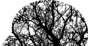Applying physics to understanding the mystery of consciousness