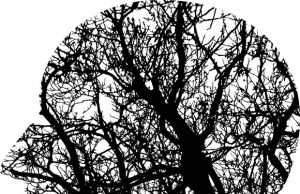 Applying physics to understanding the mystery of consciousness Applying physics to understanding the mystery of consciousness