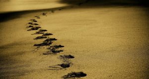 Archaeology Fossilized footprints suggest ancient humans divided labor