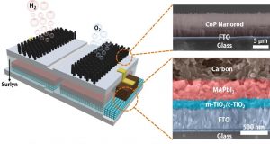 Artificial leaf concept inspires research into solar powered fuel production