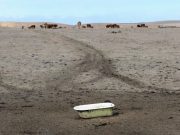 Climate change makes repeat Dust Bowl twice as likely