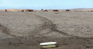 Climate change makes repeat Dust Bowl twice as likely