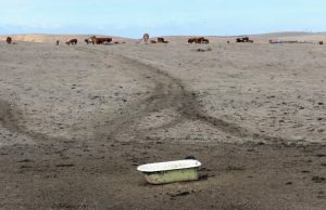 Climate change makes repeat ‘Dust Bowl’ twice as likely Climate change makes repeat Dust Bowl twice as likely