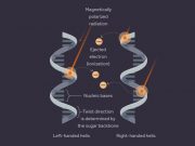 Cosmic rays may have left indelible imprint on early life physicists say