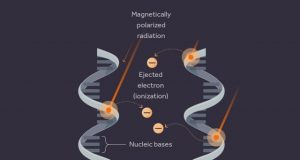 Cosmic rays may have left indelible imprint on early life physicists say