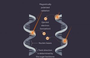 Cosmic rays may have left indelible imprint on early life, physicists say Cosmic rays may have left indelible imprint on early life physicists say